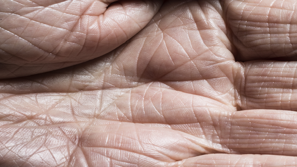 دراسة تزعم.. فيروس كورونا قد يعيش نحو 9 ساعات على جلد الإنسان