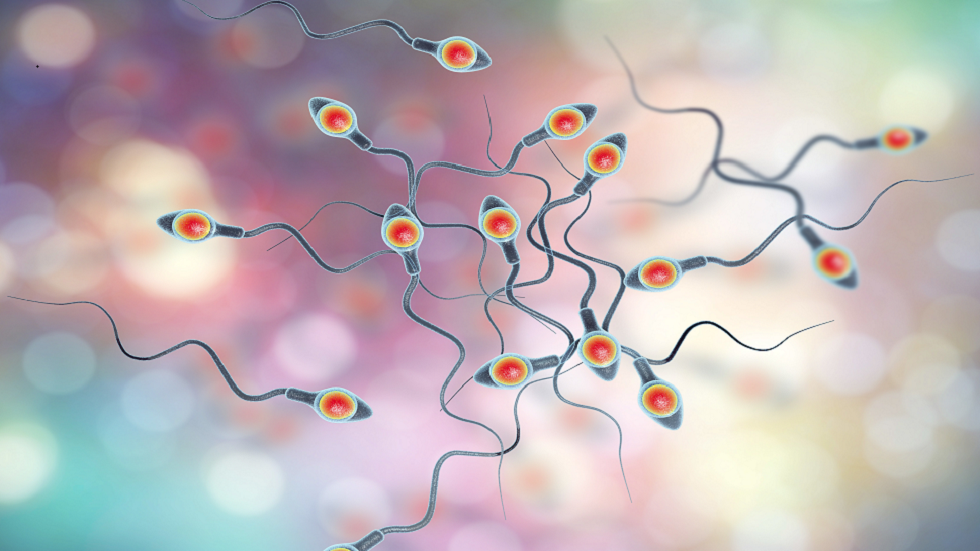 دراسة تزعم أن 