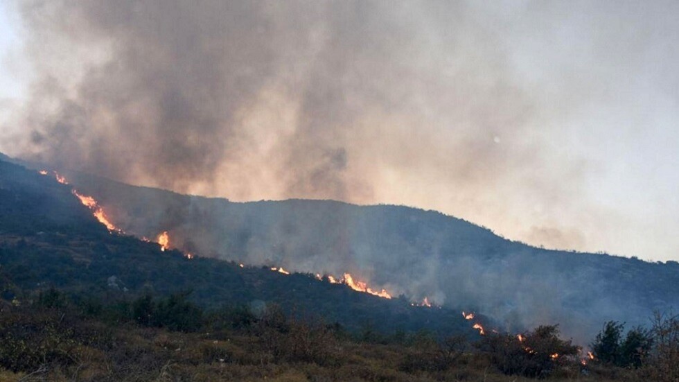 سوريا.. تضرر مستودعات مؤسسة التبغ جراء حرائق القرداحة (صور)