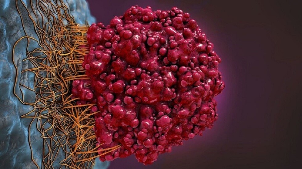 مكّون غذائي بسيط ورخيص يستهدف الآلية الأساسية المسببة للسرطان!