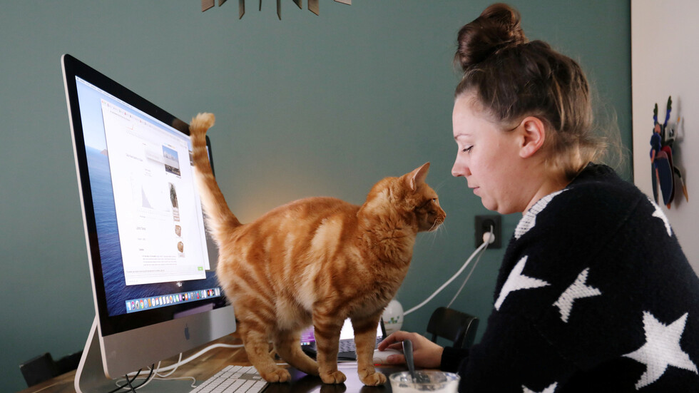 روسيا.. أعلى الوظائف أجرا للعمل عن بعد