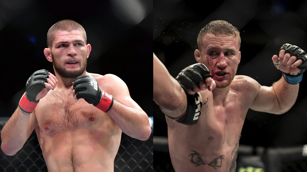 النزال المنتظر.. حبيب يواجه غايتجي اليوم في أبوظبي