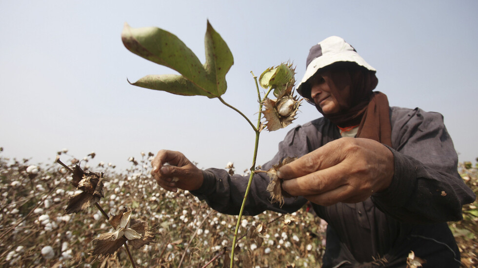مصر.. 15 مليون يورو لدعم الأسر الفقيرة في الصعيد