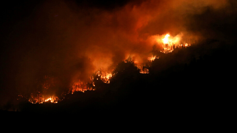 الأردن.. حريق كبير في أحراج عجلون