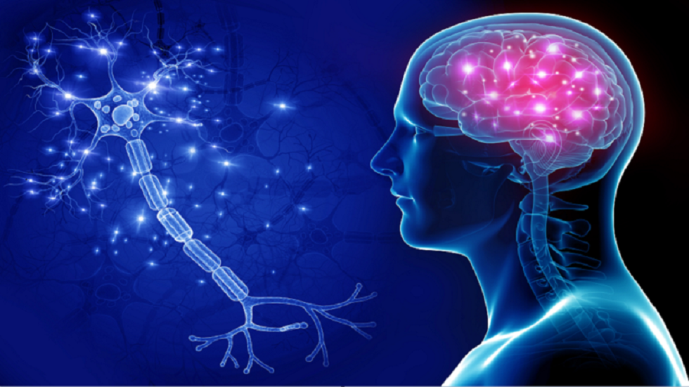 أمراض تدمر الدماغ