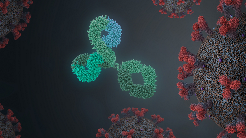 دراسة تزعم: 