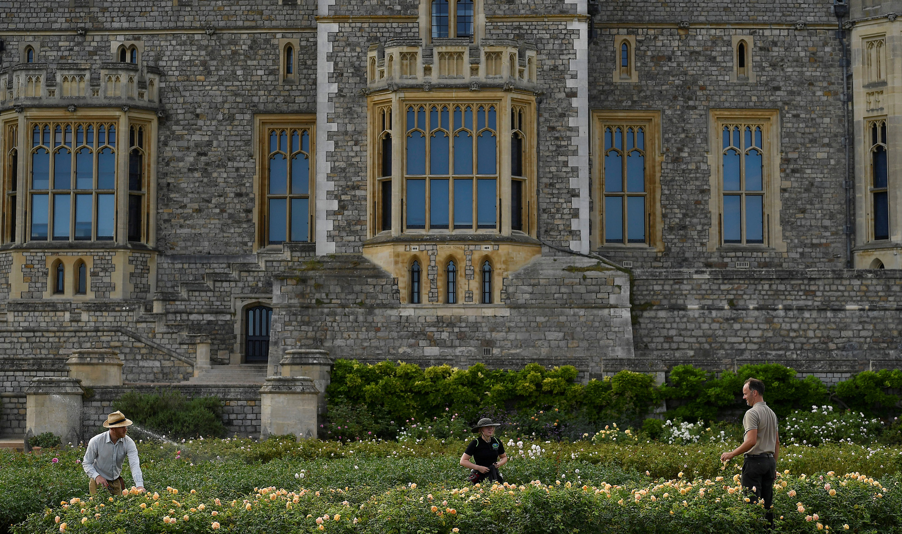 وثائقي  يكشف عن نفق سري لهروب الملكة خارج قلعة وندسور مخبأ تحت السجاد