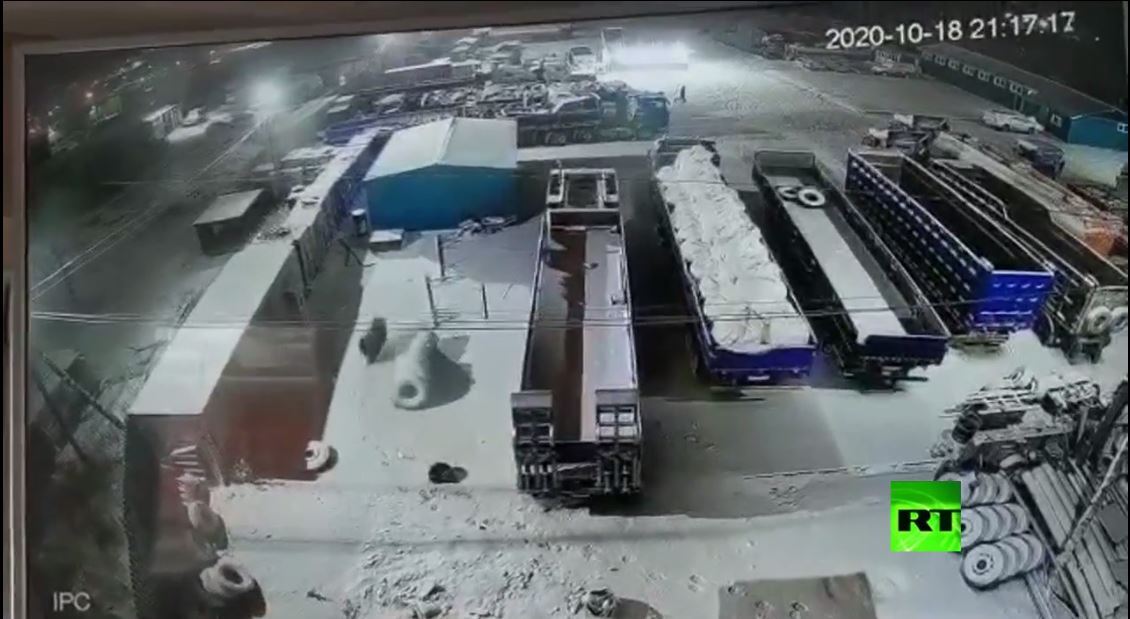 شاهد.. دب يتجول في شوارع مدينة ماغادان الروسية ويرعب سكانها