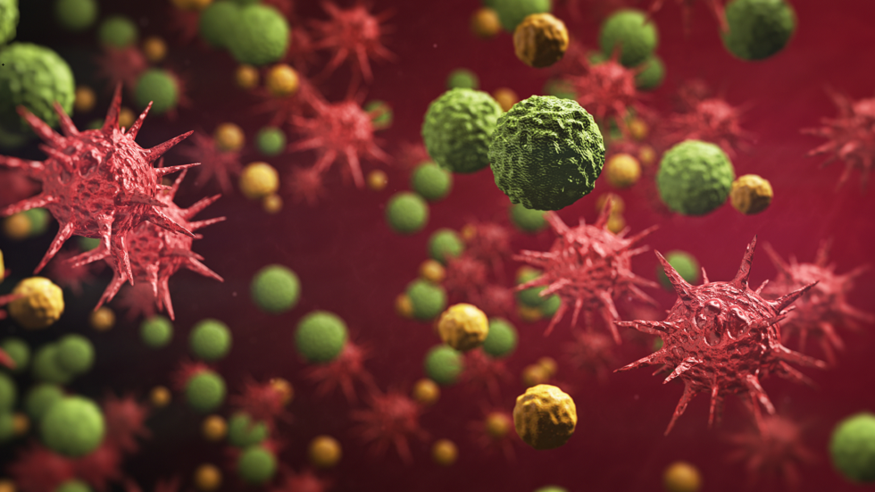 دراسة جديدة تكشف أن فيروس كورونا 