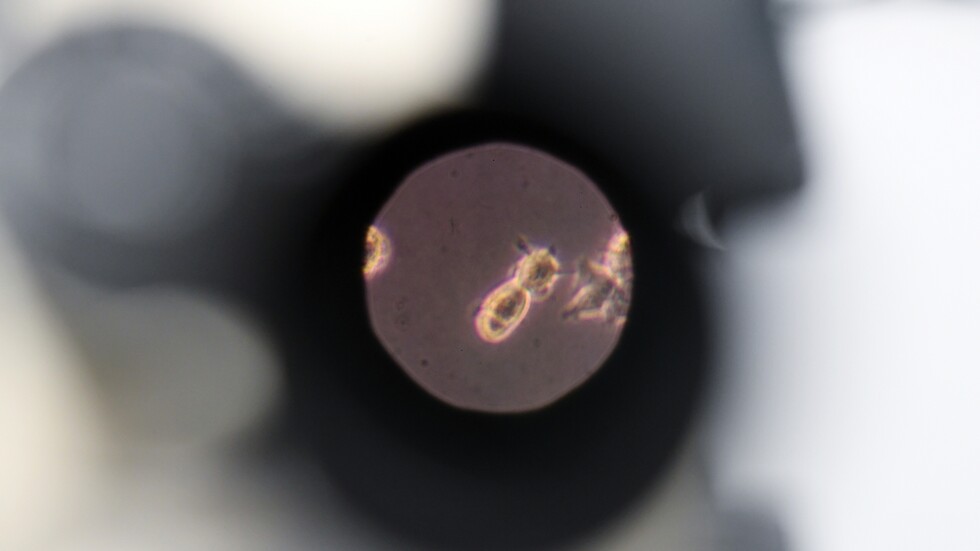 طبيب يكشف أكثر ما يخيفه في الفيروس التاجي