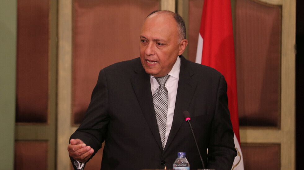 مصر توضح إمكانية تعاونها مع تركيا بشأن ليبيا