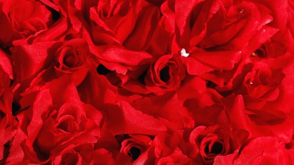 50 باقة ورد من مجهول لعمال مستشفى فرنسي شكرا على مكافحتهم الوباء