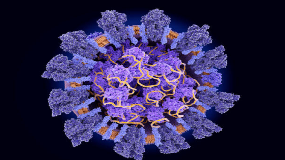 علماء يكتشفون 