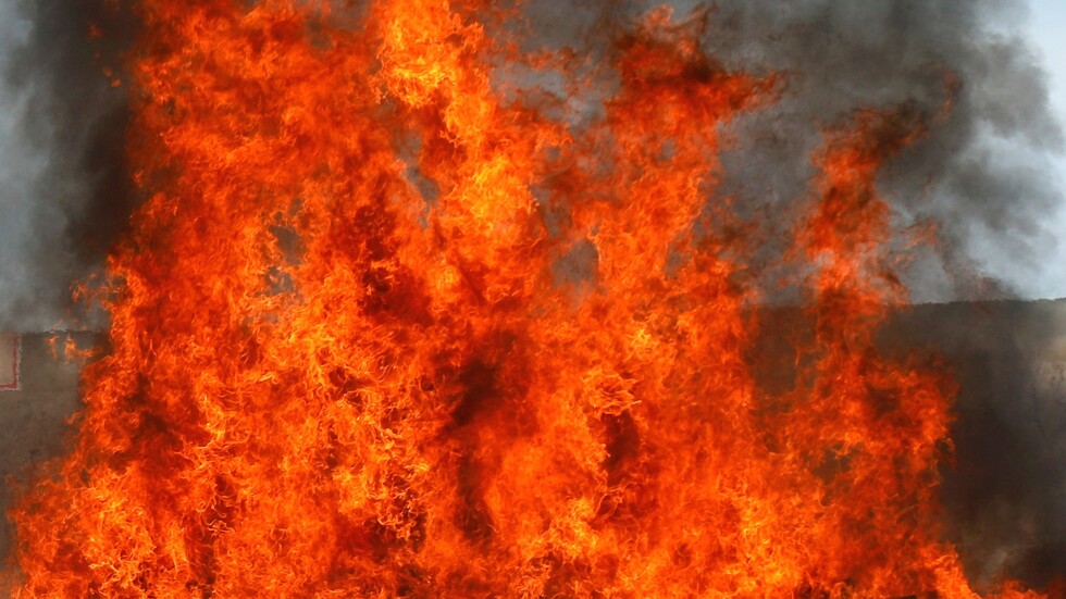 الادعاء العام في الجزائر: حرائق الغابات الأخيرة بفعل فاعل لضرب الاستقرار