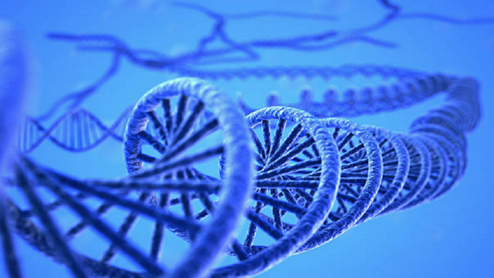 صورة ثلاثية الأبعاد لحقيقة جزيء هام في جسم الإنسان!