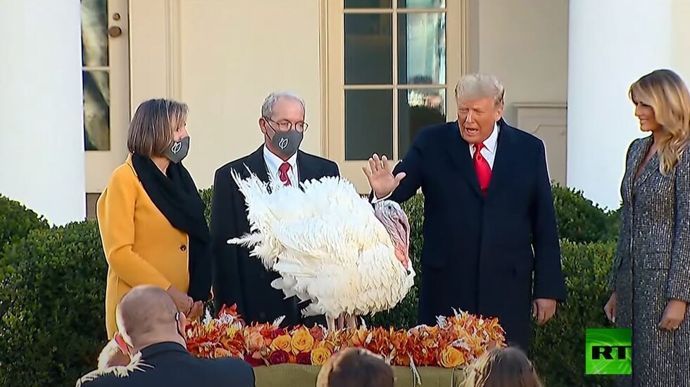 في مراسم تقليدية أخيرة في البيت الأبيض.. ترامب يعفو عن  الديك الرومي