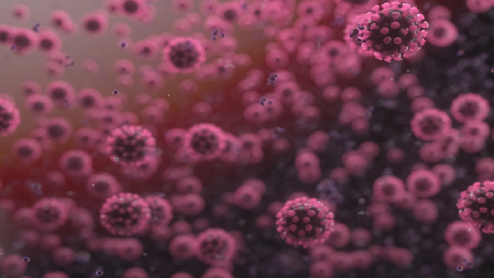 الصحة العالمية تحدد الاحتمالات الرئيسية لانتقال كورونا إلى البشر