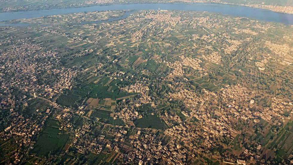 نقيب الفلاحين في مصر: مصر تشهد حدثا زراعيا غير مسبوق في تاريخ الزراعة