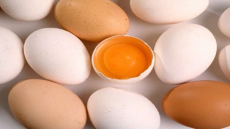 ماذا يحدث اذا كنت تاكل البيض كل يوم؟