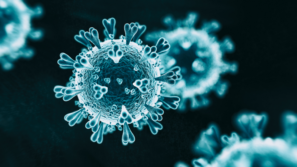 الكشف عن حيلة خبيثة لفيروس SARS-CoV-2 يعتمدها لمنع إنتاج جزيئات مناعية