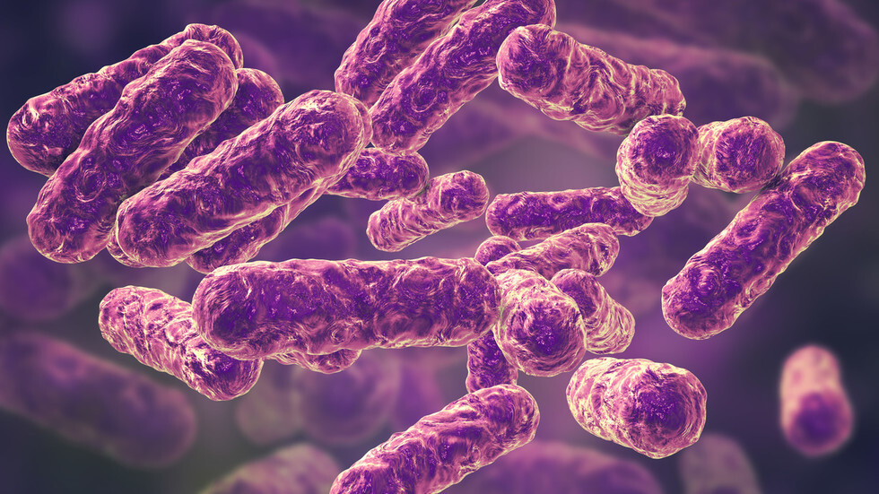 عدو عدونا: العلماء يعيدون هندسة البكتيريا لمهاجمة مسببات الأمراض!
