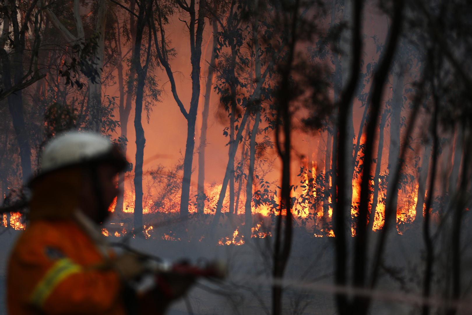 أكثر من 100 حريق يلتهم مئات آلاف الهكتارات في أستراليا بسبب موجة من الحر الشديد