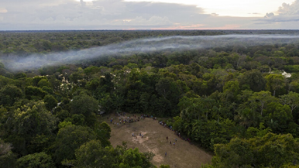 تدمير غابات الأمازون في البرازيل يقفز لأعلى مستوى في 12 عاما