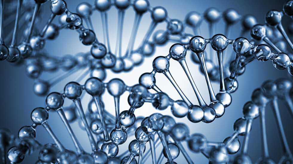 التلاعب الجيني: علماء يحققون تقدما كبيرا نحو كسب الحرب على الإيدز!