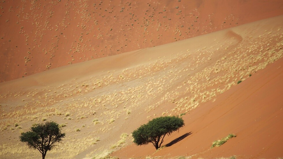 فوز أدولف هتلر في انتخابات ناميبيا