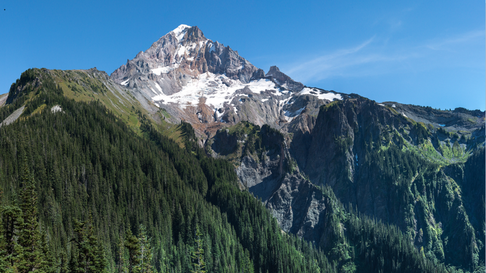 امرأة تنجو من السقوط في 