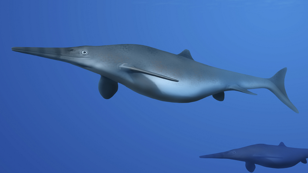 اكتشاف نوع جديد من 