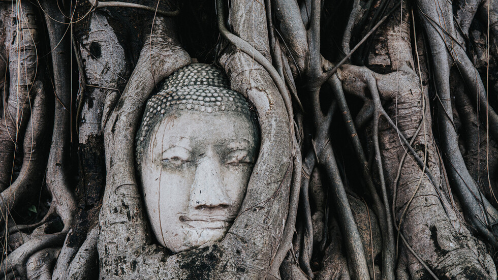 العثور على تمثال ضخم لبوذا مقطوع الرأس تحت مبان سكنية في الصين