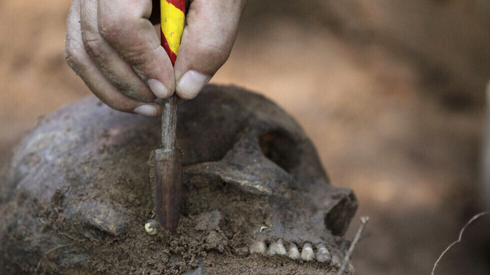 مصر.. جماجم وهياكل بشرية تثير فزع أهالي قرية في بني سويف