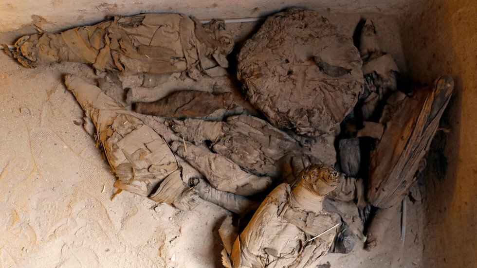 العلماء يحللون مومياء قرود عمرها 3300 عام لتحديد موقع 