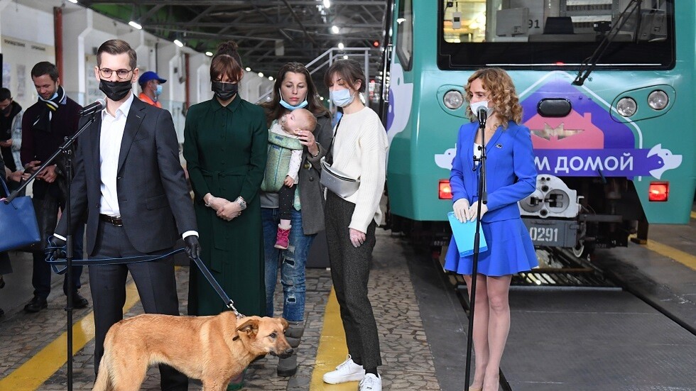 طبيبة تشرح سلوك كورونا لدى الحيوانات الأليفة ومدى خطورته على البشر