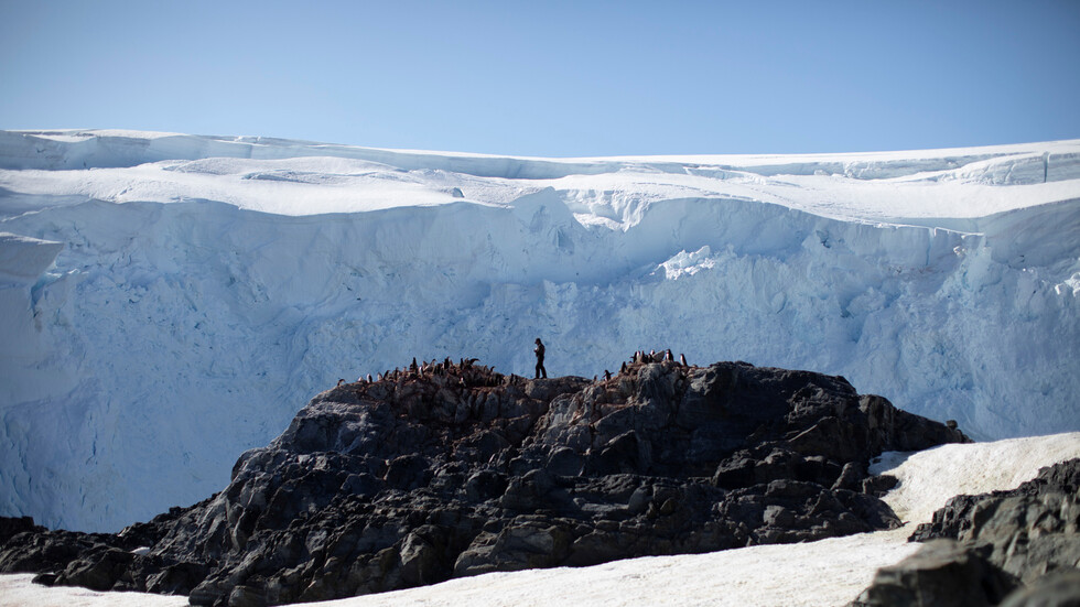 كورونا يصل إلى "القارة الأخيرة"