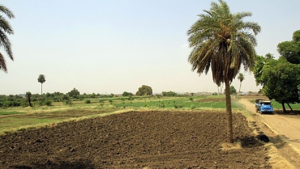 عملا بفتوى دينية.. سودانية تبيع أرضها وتتصدق بثمنها