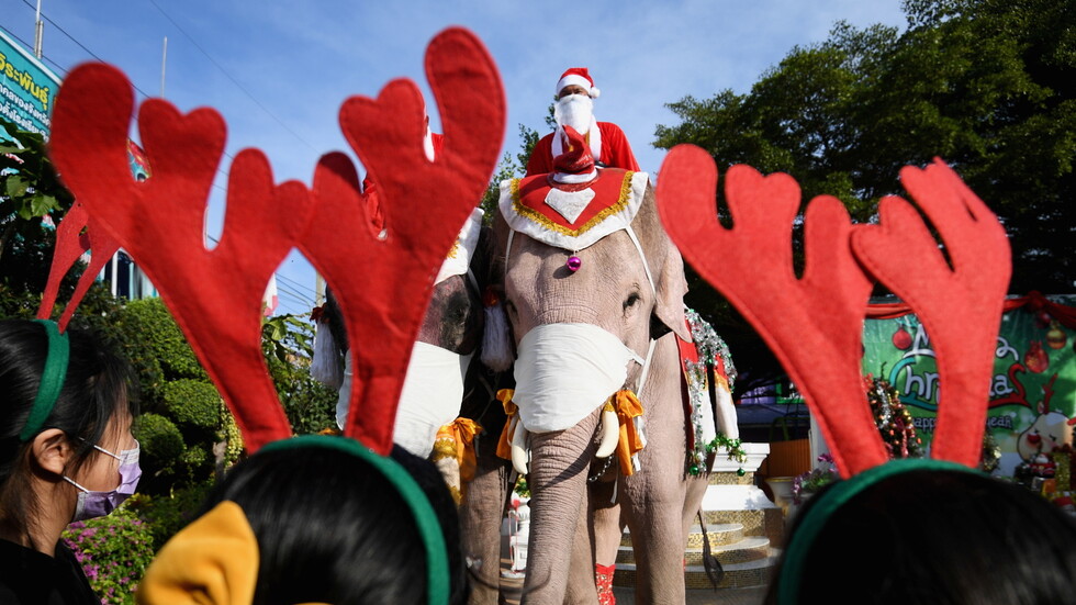 على ظهر فيل.. بابا نويل يوزع الكمامات في تايلاند (صور)