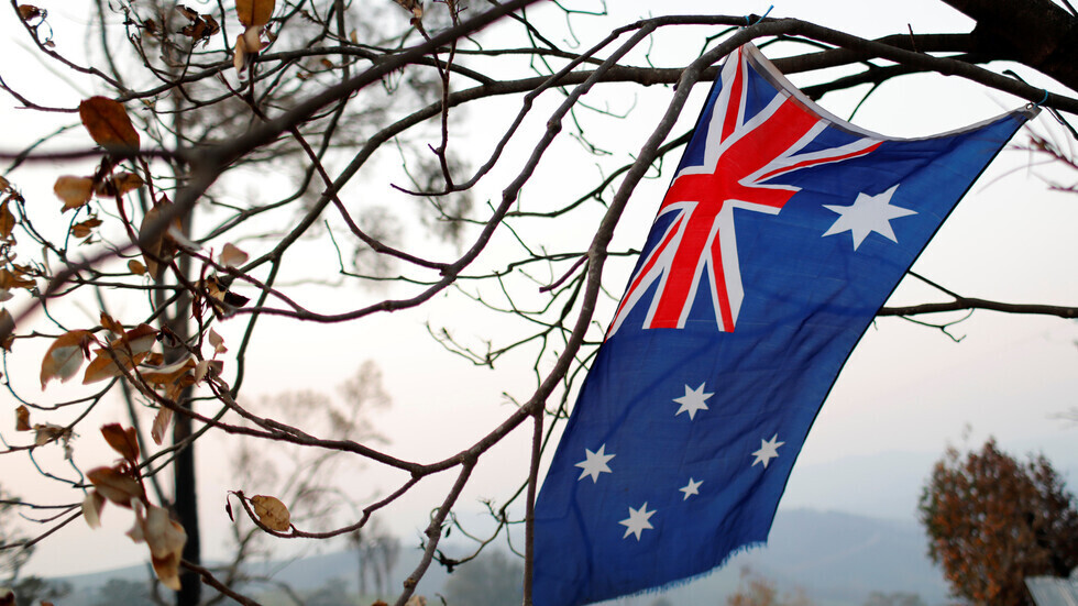 أفضل صورة لسنة 2020.. بطريقان يتعانقان بعد مأساة (صور + فيديو)