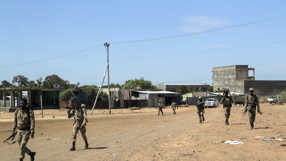 الجيش الإثيوبي يقتل 42 شخصا متورطا بالهجوم على إقليم 