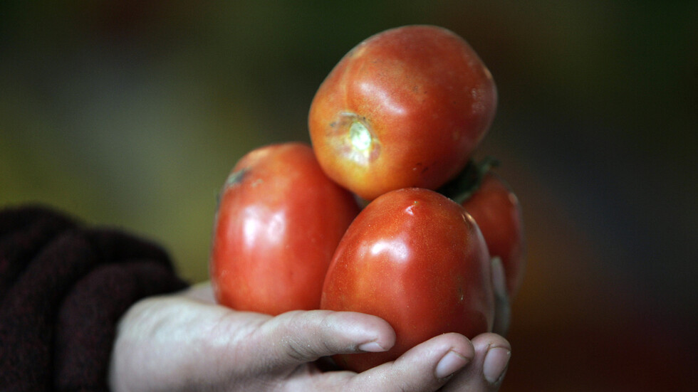 روسيا قد تفرض قيودا على استيراد منتجات زراعية من إيران