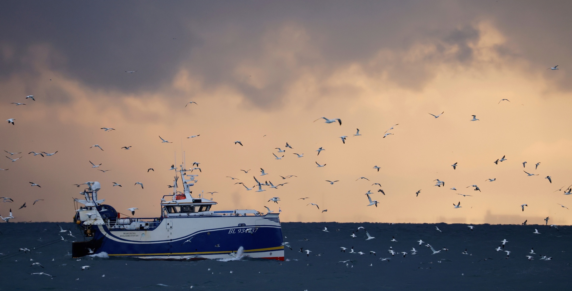 بريطانيا ستمنع الصيد البحري الأوروبي في مياهها إذا لم يتم الاتفاق بشأن الـ 