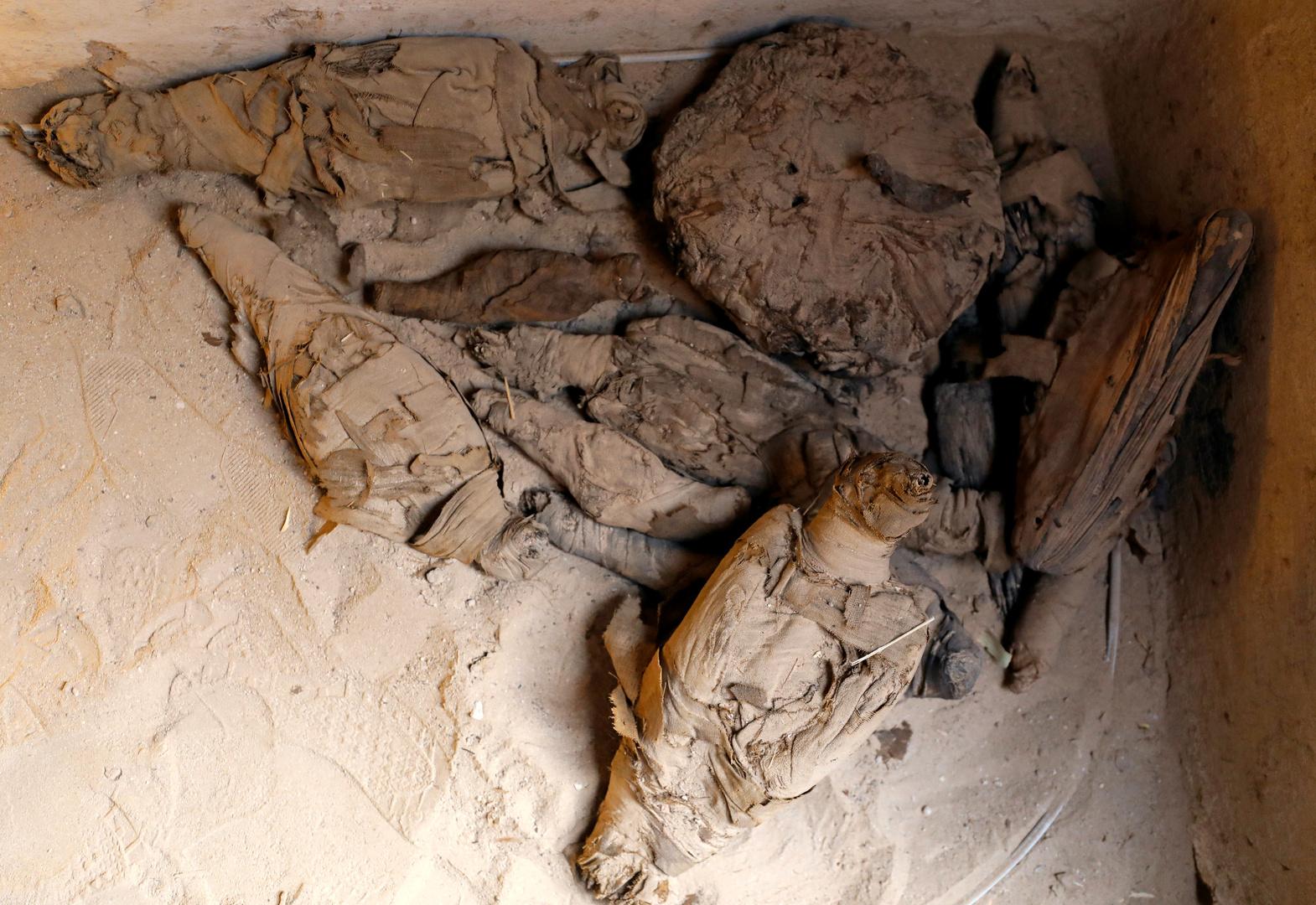 العلماء يحللون مومياء قرود عمرها 3300 عام لتحديد موقع 