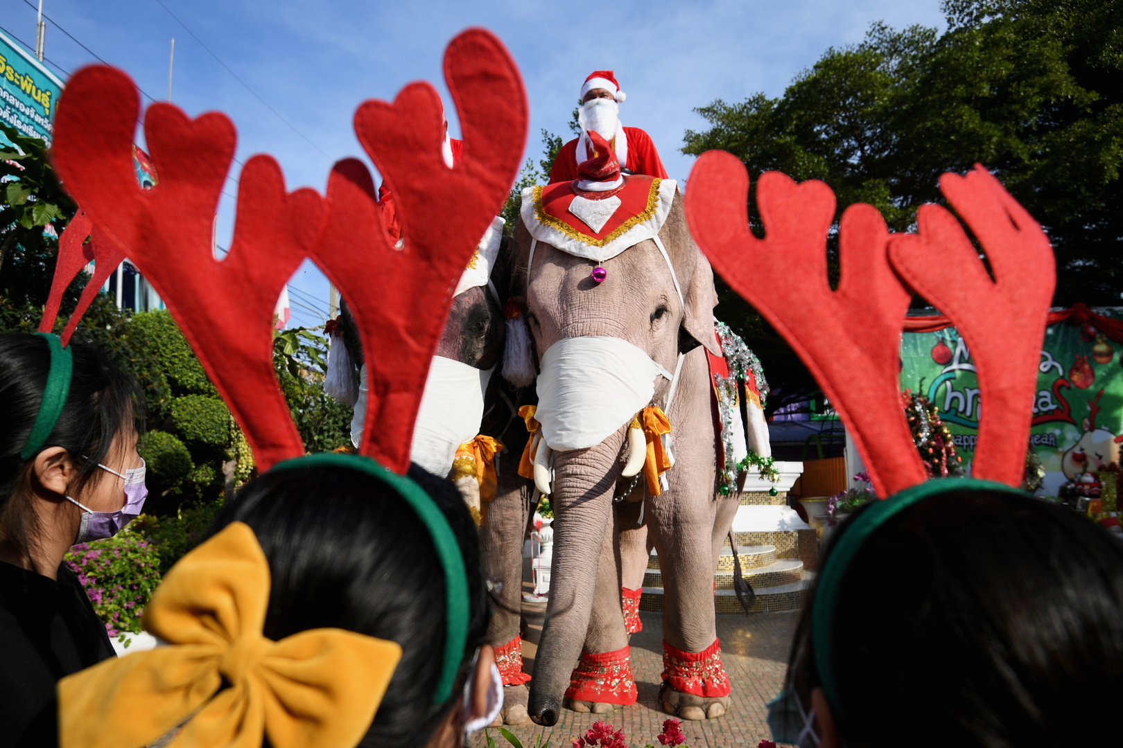 على ظهر فيل.. بابا نويل يوزع الكمامات في تايلاند (صور)