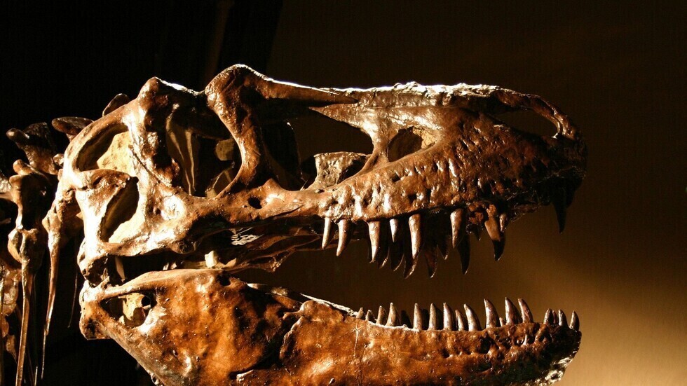 أروع 10 اكتشافات للديناصورات لعام 2020