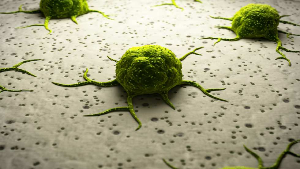 مادة ضرورية وشائعة تقلل من مخاطر الإصابة بالسرطان وتعزز صحة الكبد!