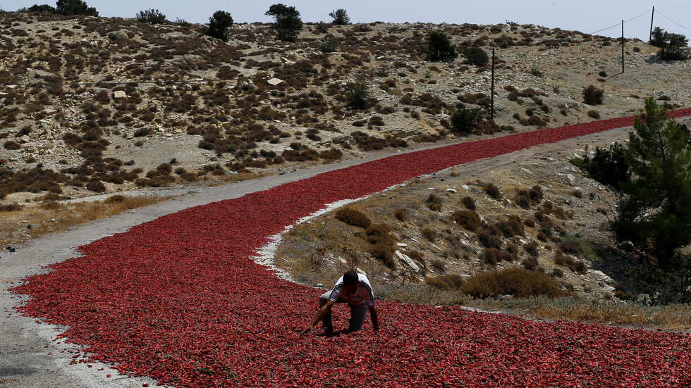 تقارير: انخفاض عدد المزارعين في تركيا