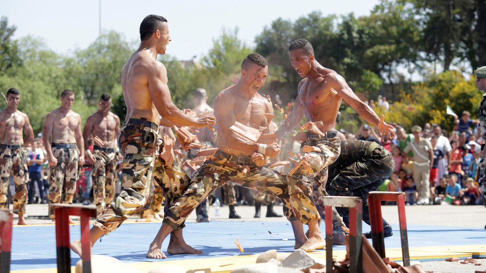 قائد هيئة أركان الجيش الجزائري: 