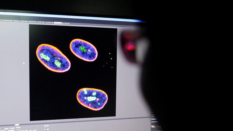 علماء صينيون يطورون علاجا جينيا لإطالة عمر الفئران قد ينجح على البشر