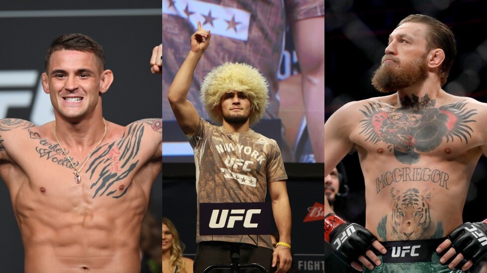 توقعات حبيب لـ